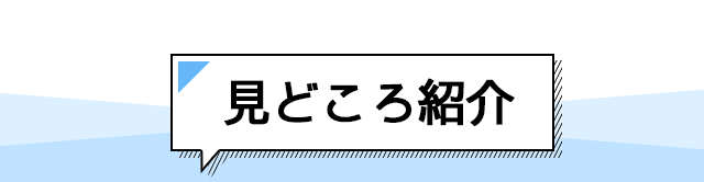 見どころ紹介