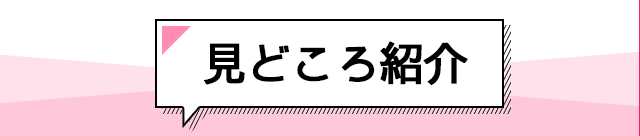 見どころ紹介